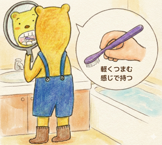 歯の磨き方